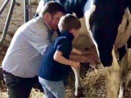 Lattiero Caseario: Listini stazionari per i formaggi.