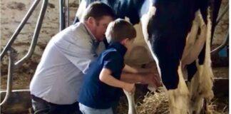 Lattiero Caseario: Listini stazionari per i formaggi.