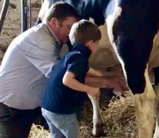 Lattiero Caseario: Listini stazionari per i formaggi.