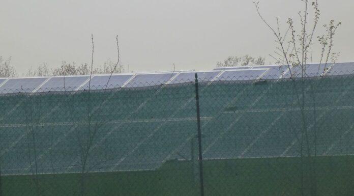 Agricoltura, Cadeddu (m5s): produzioni agricole sempre garantite con impianti fotovoltaici sui campi