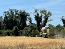 Mercati in rialzo, dopo i dati USDA, trascinati dal grano.