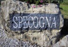 Specogna quando il vino non è un lavora ma Passione