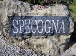 Specogna quando il vino non è un lavora ma Passione