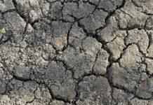 Romagna-Siccità: situazione alla soglia dell’emergenza in tutto il comprensorio del Canale Emiliano Romagnolo