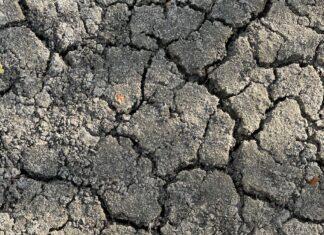 Romagna-Siccità: situazione alla soglia dell’emergenza in tutto il comprensorio del Canale Emiliano Romagnolo