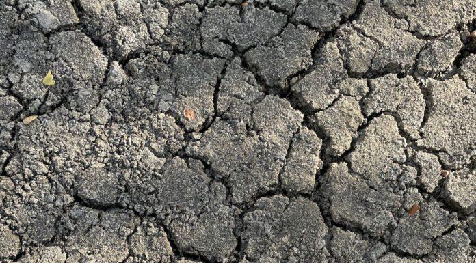 Romagna-Siccità: situazione alla soglia dell’emergenza in tutto il comprensorio del Canale Emiliano Romagnolo