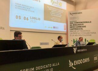 EVOO DAYS, De Castro: «la PAC conferma i 34 milioni per le associazioni olivicole italiane»