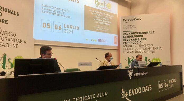EVOO DAYS, De Castro: «la PAC conferma i 34 milioni per le associazioni olivicole italiane»