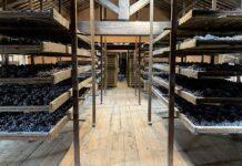 Il Consorzio Della Valpolicella detta la nuova direzione della DOC