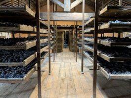 Il Consorzio Della Valpolicella detta la nuova direzione della DOC