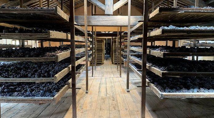 Il Consorzio Della Valpolicella detta la nuova direzione della DOC