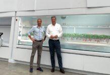 The future is red. &ever e Modula alla conquista dell’Asia con coltivazioni 100% automatiche di fragole.