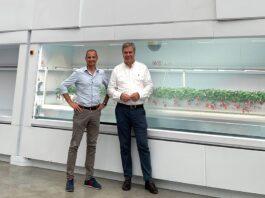 The future is red. &ever e Modula alla conquista dell’Asia con coltivazioni 100% automatiche di fragole.