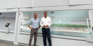 The future is red. &ever e Modula alla conquista dell’Asia con coltivazioni 100% automatiche di fragole.