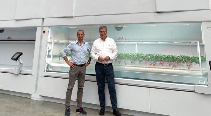 The future is red. &ever e Modula alla conquista dell’Asia con coltivazioni 100% automatiche di fragole.