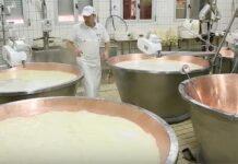 Agricoltura, M5S: dalle regioni via libera a “CASEIFICIO ITALIA”