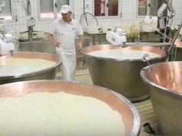 Agricoltura, M5S: dalle regioni via libera a “CASEIFICIO ITALIA”