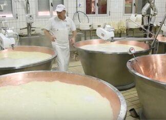 Agricoltura, M5S: dalle regioni via libera a “CASEIFICIO ITALIA”