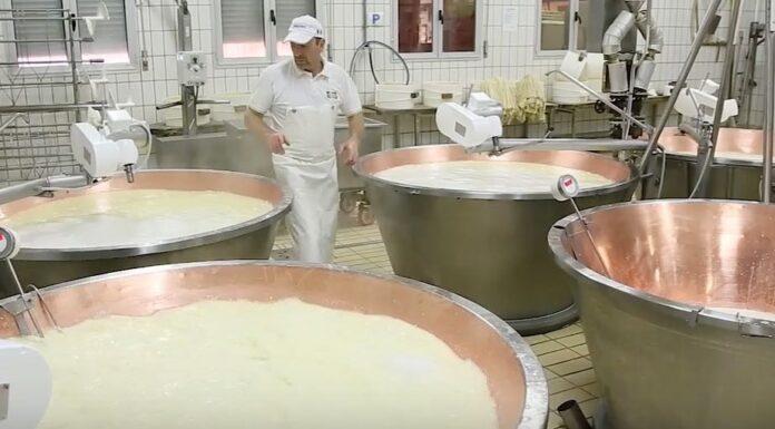 Agricoltura, M5S: dalle regioni via libera a “CASEIFICIO ITALIA”