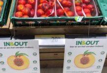 IN&OUT, ortofrutta europea alla conquista della Danimarca