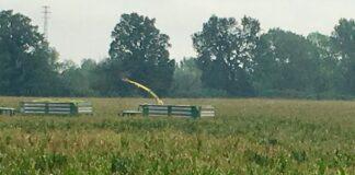 Cereali e dintorni. Situazione sempre difficile