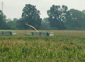 Cereali e dintorni. Situazione sempre difficile