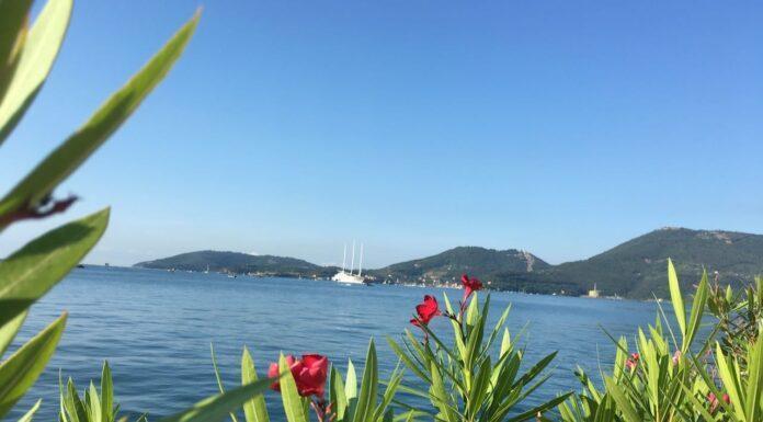 Buon Ferragosto… e un po’ di vacanza anche per noi!