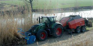 Colture energetiche. WS BIO è la trincia ideale