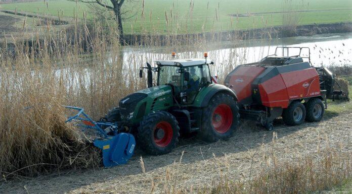 Colture energetiche. WS BIO è la trincia ideale