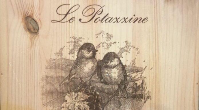 Grandi Vitivinicoltori – LE POTAZZINE –