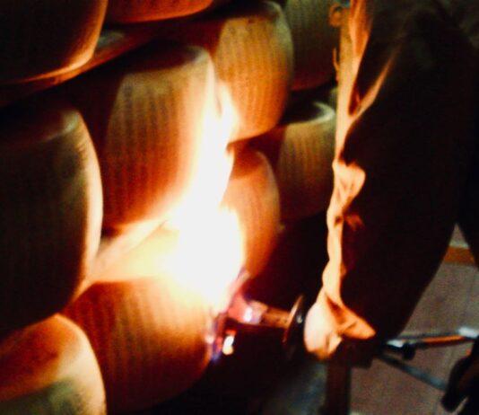 Lattiero Caseario: Parmigiano cresce ancora