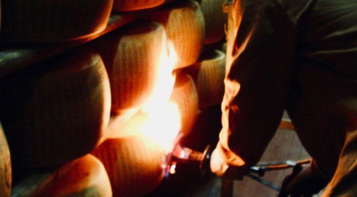 Lattiero Caseario: Parmigiano cresce ancora