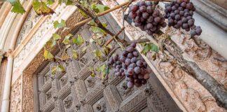 VINO, Gallinella (M5S): sostenibilità e fondo di mutualizzazione per supportare rilancio post pandemia