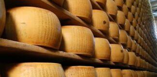 Lattiero Caseario: Burro e crema alle stelle, “Padano” in discesa –