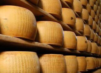 Lattiero Caseario: Burro e crema alle stelle, “Padano” in discesa –