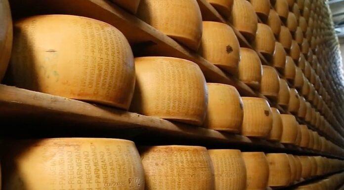Lattiero Caseario: Burro e crema alle stelle, “Padano” in discesa –