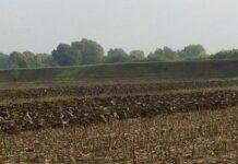 Servizio Civile Agricolo, un’interessante novità per i giovani dai 18 ai 28 anni