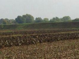 Servizio Civile Agricolo, un’interessante novità per i giovani dai 18 ai 28 anni