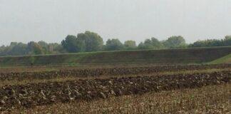 Servizio Civile Agricolo, un’interessante novità per i giovani dai 18 ai 28 anni