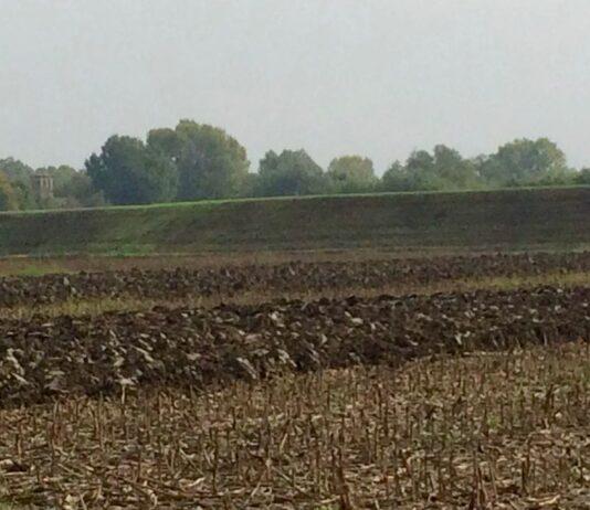 Servizio Civile Agricolo, un’interessante novità per i giovani dai 18 ai 28 anni