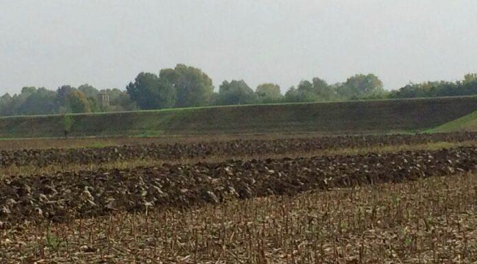 AGRICOLTURA: per la sovranità alimentare cruciale sarà la norma sul consumo di suolo