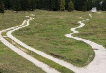 LA SCELTA! Val la pena infilarsi in un  “Cul de sac” per difendere l’mRNA?