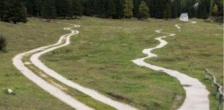 LA SCELTA! Val la pena infilarsi in un  “Cul de sac” per difendere l’mRNA?