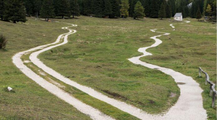 LA SCELTA! Val la pena infilarsi in un “Cul de sac” per difendere l’mRNA?