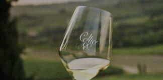 “Enjoy Collio Experience”