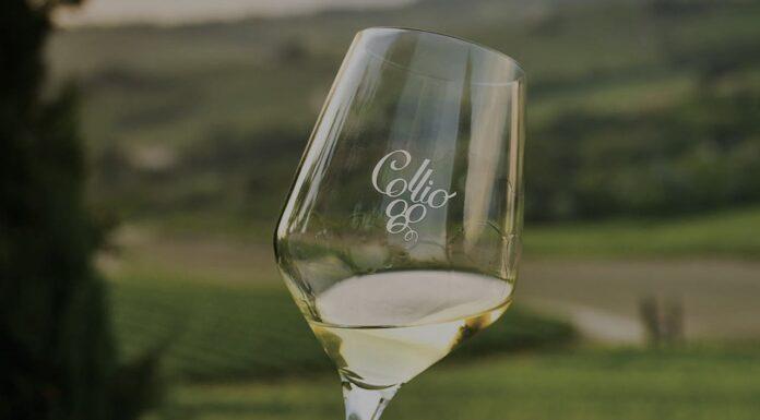 “Enjoy Collio Experience”