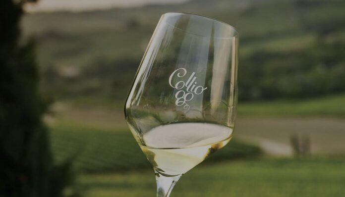 COLLIO (1)
