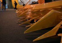 Cereali e dintorni. Sale, tutto sale!