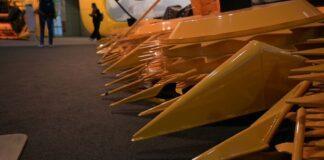 Cereali e dintorni. Sale, tutto sale!