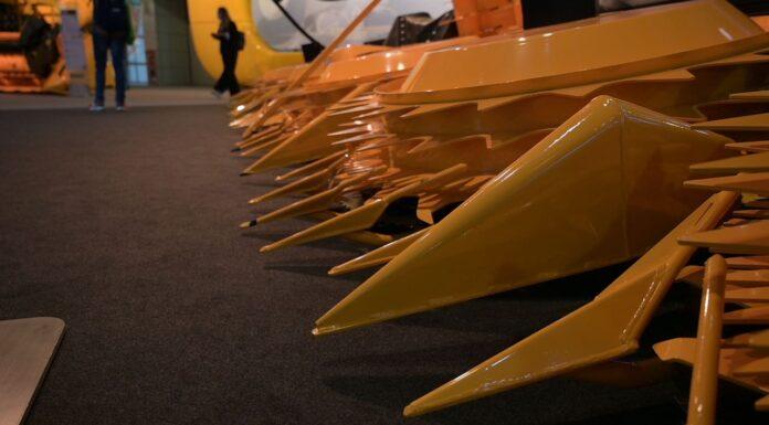 Cereali e dintorni. Sale, tutto sale!